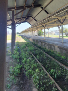 Railway Station single train line