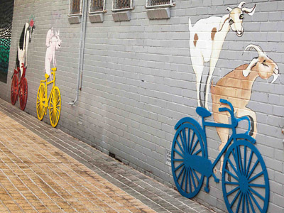 Cycling Goats