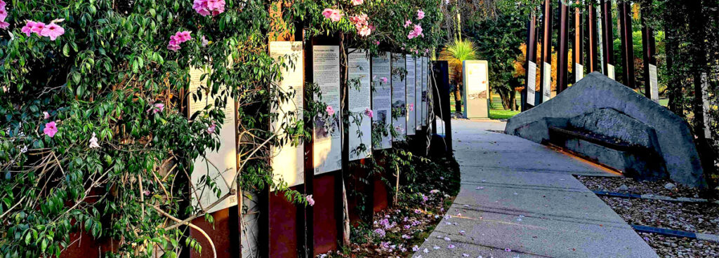 Gallipoli's story told in sequenced panels