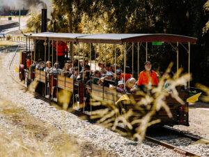 Passengers seated in an open-air wooden steam train carriage