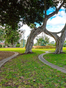 The miniature train tracks wind around the park and through the vegetation.