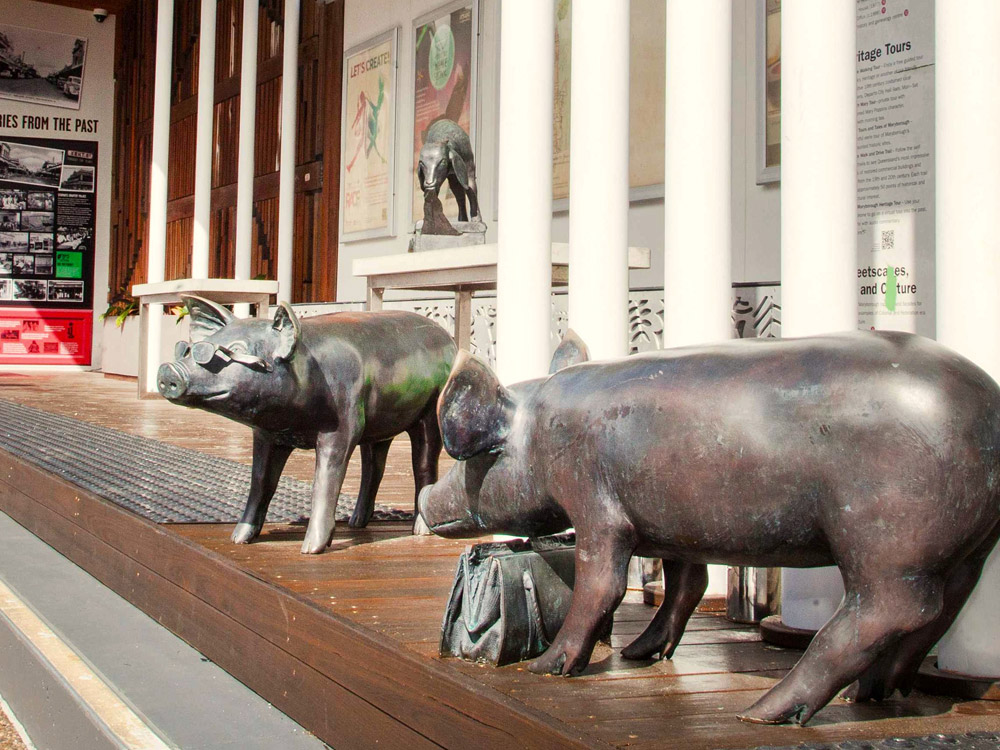 Maryborough’s mischievous bronze pigs